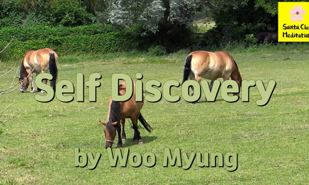 Master Woo Myung – Truth Poetry – Self Discovery | Santa Clara Meditation