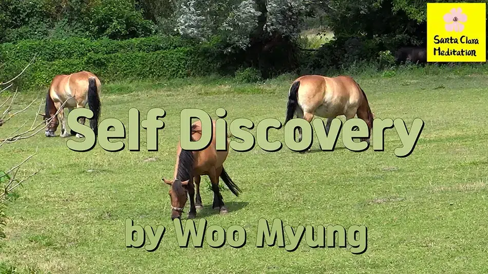 Master Woo Myung – Truth Poetry – Self Discovery