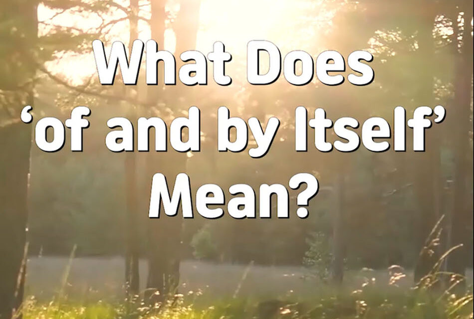 Master Woo Myung – Wisdom’s Answer – What Does ‘of and by Itself’ Mean?