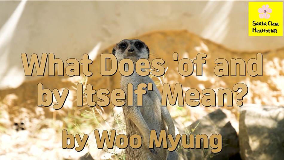 Master Woo Myung – Quote for Enlightenment – What Does ‘of and by Itself’ Mean?