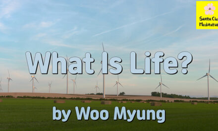 Master Woo Myung – How to Live in Land of Truth – What Is Life? | Santa Clara Meditation