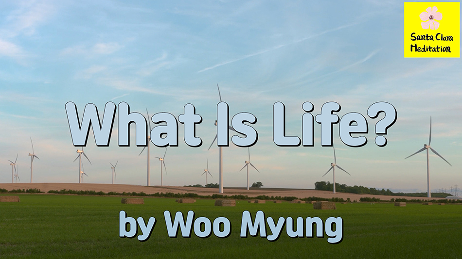 Master Woo Myung – How to Live in Land of Truth – What Is Life? | Santa Clara Meditation