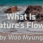 Master Woo Myung – Words of Wisdom – What Is ‘Nature’s Flow’? | Santa Clara Meditation