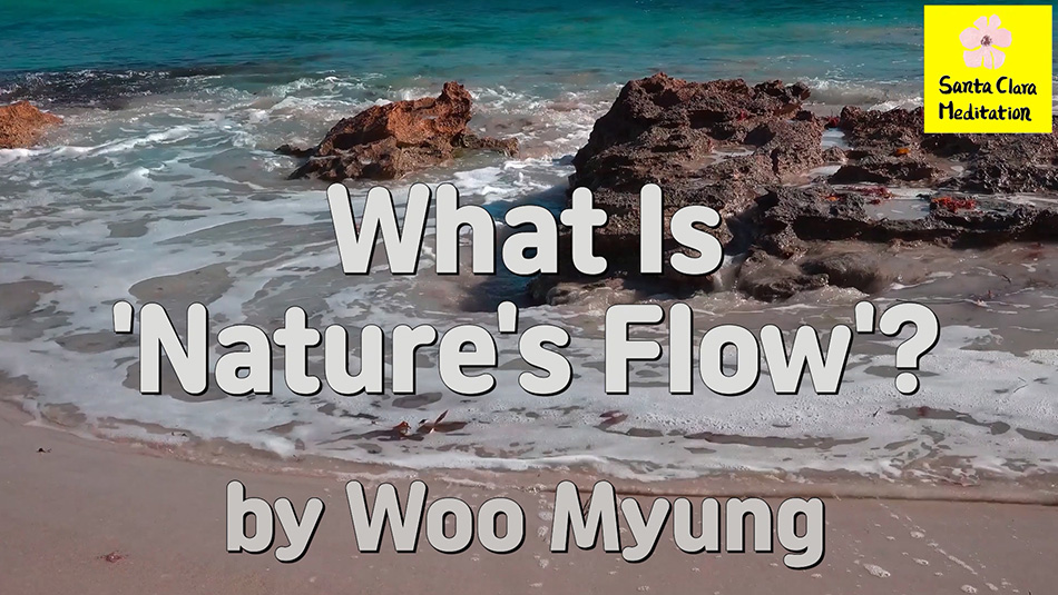 Master Woo Myung – Words of Wisdom – What Is ‘Nature’s Flow’?