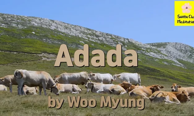 Master Woo Myung Book – Nature’s Flow – Adada