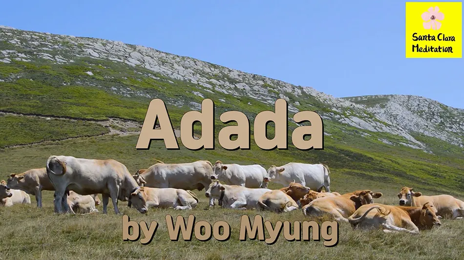 Master Woo Myung Book – Nature’s Flow – Adada