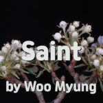 Master Woo Myung – Truth Quote – Saint | Santa Clara Meditation