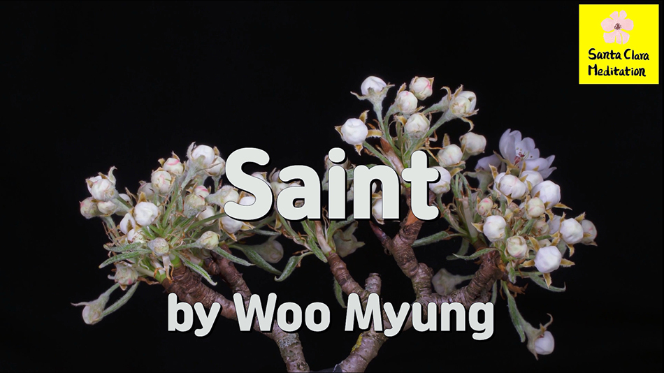 Master Woo Myung – Truth Quote – Saint | Santa Clara Meditation