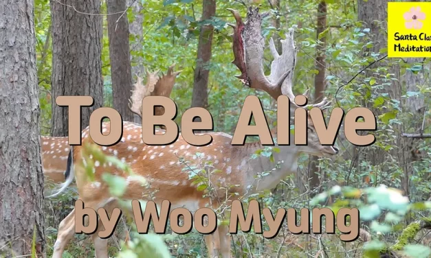 Master Woo Myung – Method to Find Truth – To Be Alive