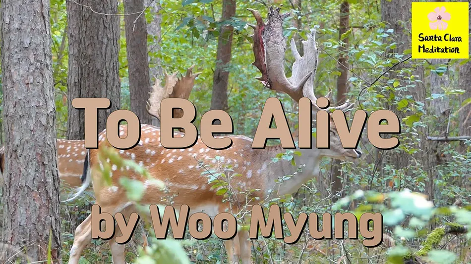 Master Woo Myung – Method to Find Truth – To Be Alive