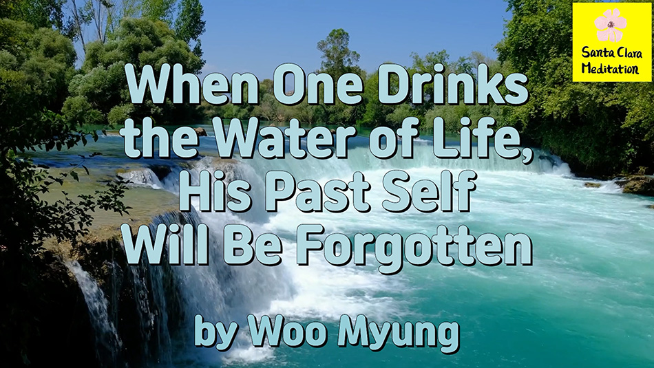 Master Woo Myung – Words of Life – When One Drinks the Water of Life, His Past Self Will Be Forgotten