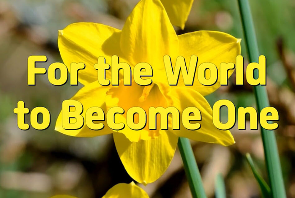 Master Woo Myung – Truth Message – For the World to Become One