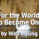 Master Woo Myung – Teachings to Awaken – For the World to Become One | Santa Clara Meditation
