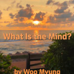 Master Woo Myung – Question & Answer – What Is the Mind?