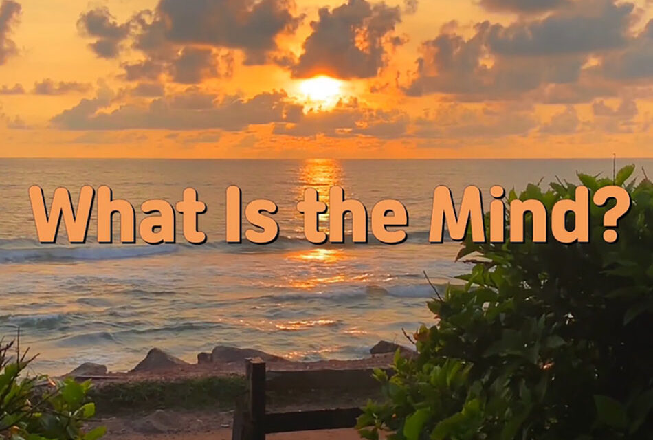 Master Woo Myung – Question & Answer – What Is the Mind?