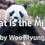 Master Woo Myung – Book – World Beyond World – What Is the Mind? | Santa Clara Meditation