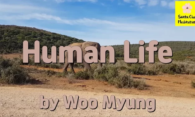 Master Woo Myung – Meditation Verses – Human Life