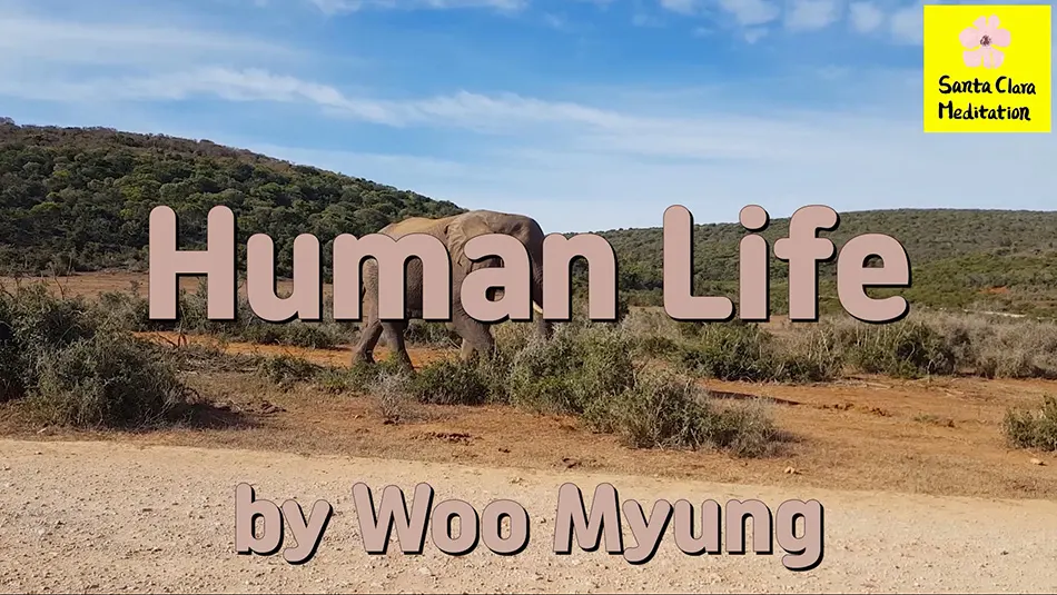 Master Woo Myung – Meditation Verses – Human Life