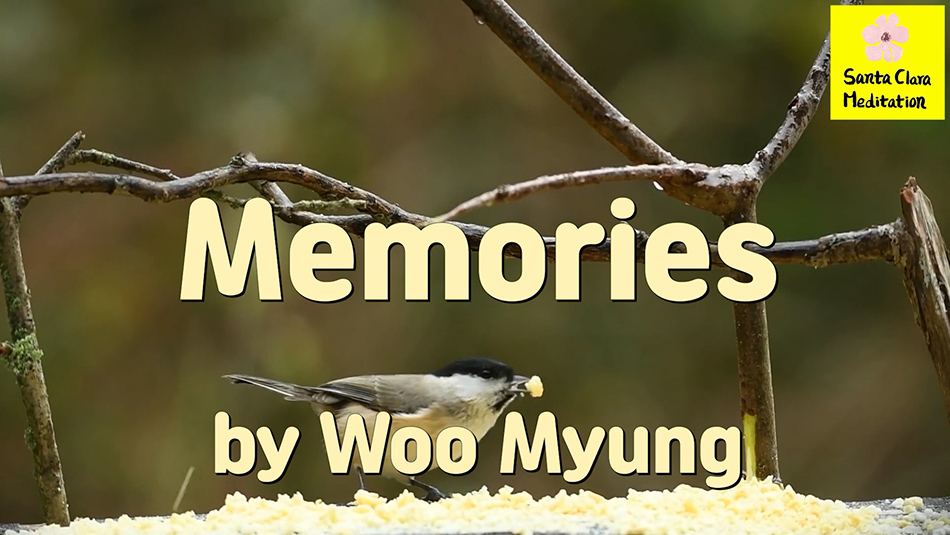 Master Woo Myung – Quote – Memories | Santa Clara Meditation