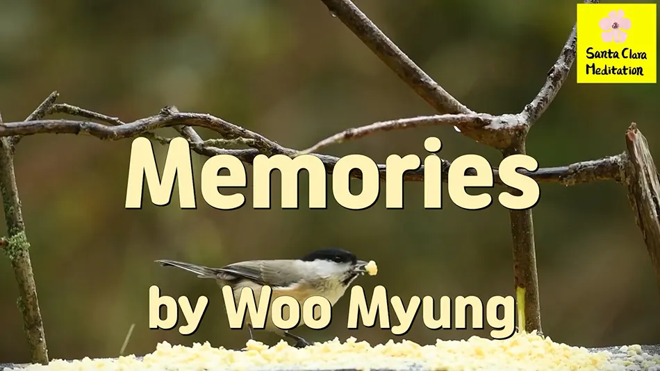 Master Woo Myung – Quote – Memories