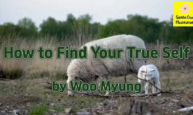 Master Woo Myung – Teaching of Wisdom – How to Find Your True Self