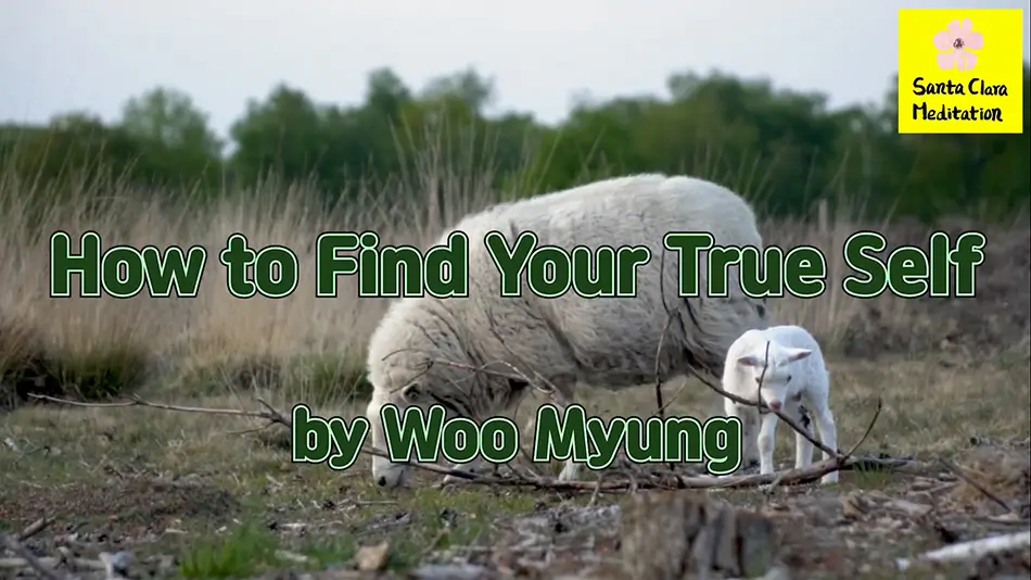 Master Woo Myung – Teaching of Wisdom – How to Find Your True Self