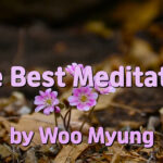 Master Woo Myung #1 Bestseller – How to Have a Meeting with God, Buddha, Allah -The Best Meditation