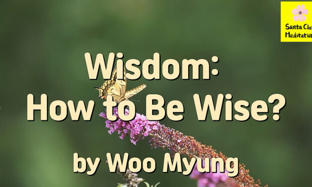 Master Woo Myung – Teaching of Truth – Wisdom: How to Be Wise