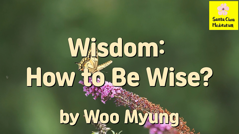 Master Woo Myung – Teaching of Truth – Wisdom: How to Be Wise