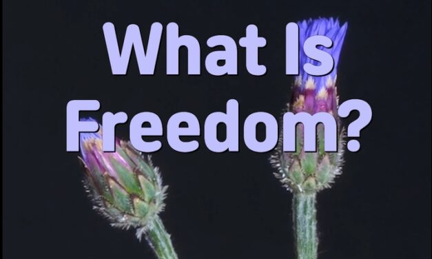 Master Woo Myung – Question & Answer – What Is Freedom?