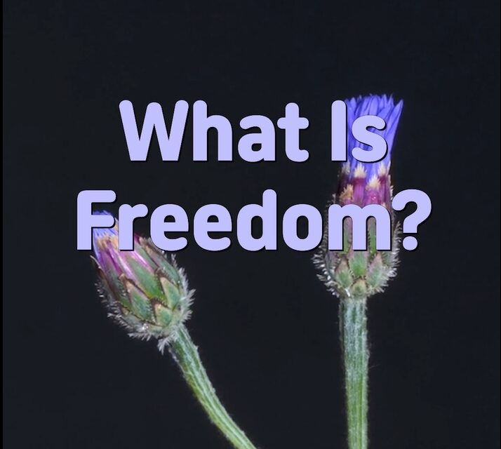 Master Woo Myung – Question & Answer – What Is Freedom?