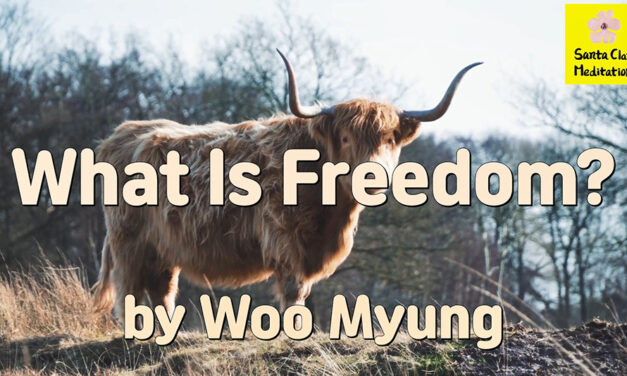 Master Woo Myung – How to Have Relaxation – What Is Freedom?