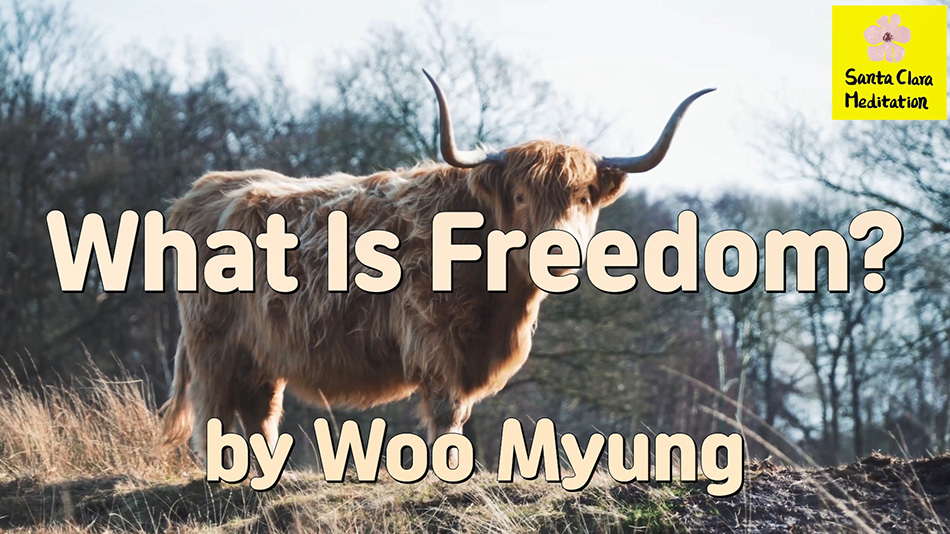 Master Woo Myung – How to Have Relaxation – What Is Freedom?