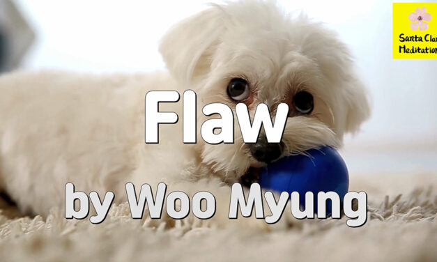 Master Woo Myung – Meaning of Life – Flaw