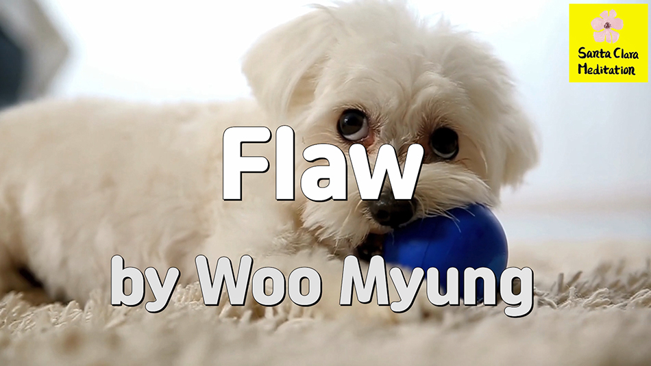 Master Woo Myung – Meaning of Life – Flaw