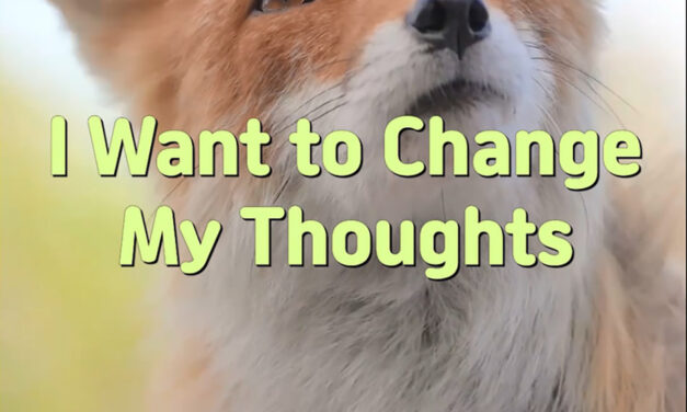 Master Woo Myung – Daily Life Advice – I Want to Change My Thoughts