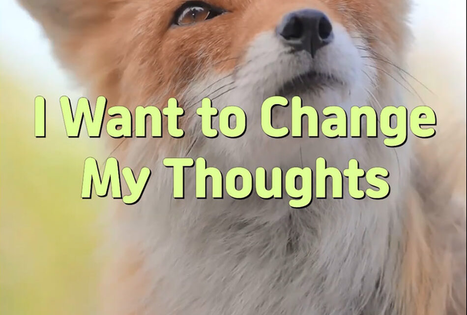 Master Woo Myung – Daily Life Advice – I Want to Change My Thoughts