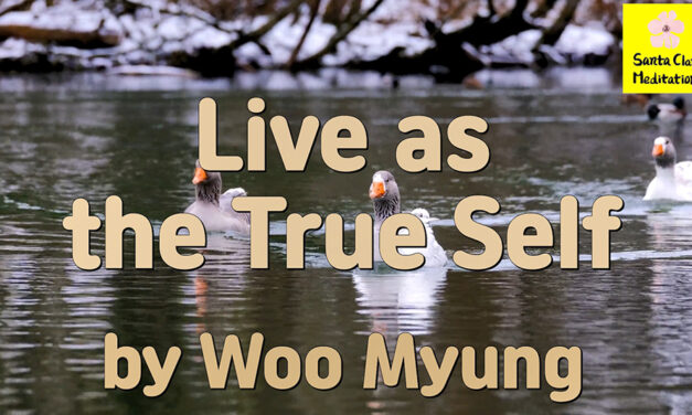 Master Woo Myung – Truth Quote – Live as the True Self