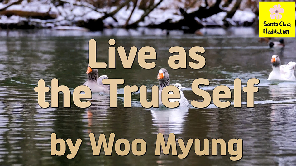 Master Woo Myung – Truth Quote – Live as the True Self