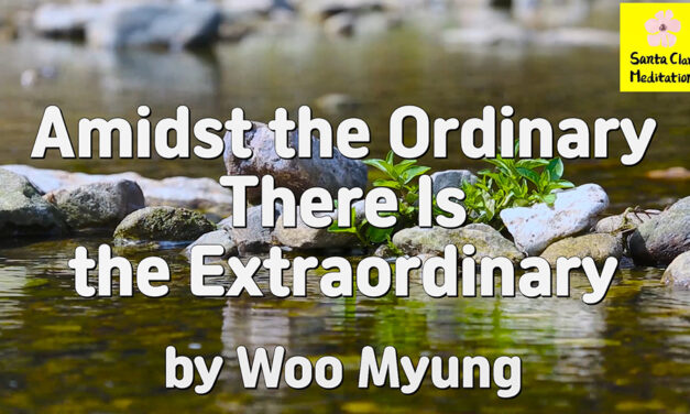 Master Woo Myung – How to Be Successful – Amidst the Ordinary There Is the Extraordinary