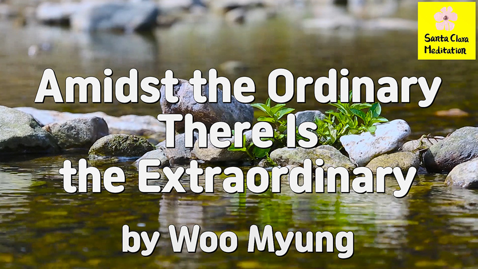 Master Woo Myung – How to Be Successful – Amidst the Ordinary There Is the Extraordinary