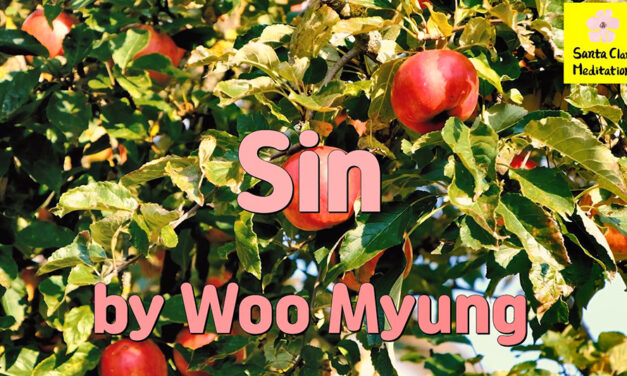 Master Woo Myung – Method of Repentance – Sin