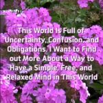 Master Woo Myung – Get Stress Relief – This World Is Full of Uncertainty, Confusion, and Obligations. I Want to Find out More About a Way to Have a Simple, Free, and Relaxed Mind in This World