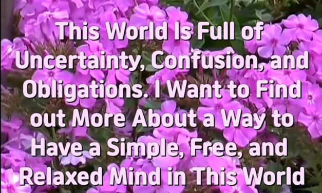 Master Woo Myung – Get Stress Relief – This World Is Full of Uncertainty, Confusion, and Obligations. I Want to Find out More About a Way to Have a Simple, Free, and Relaxed Mind in This World