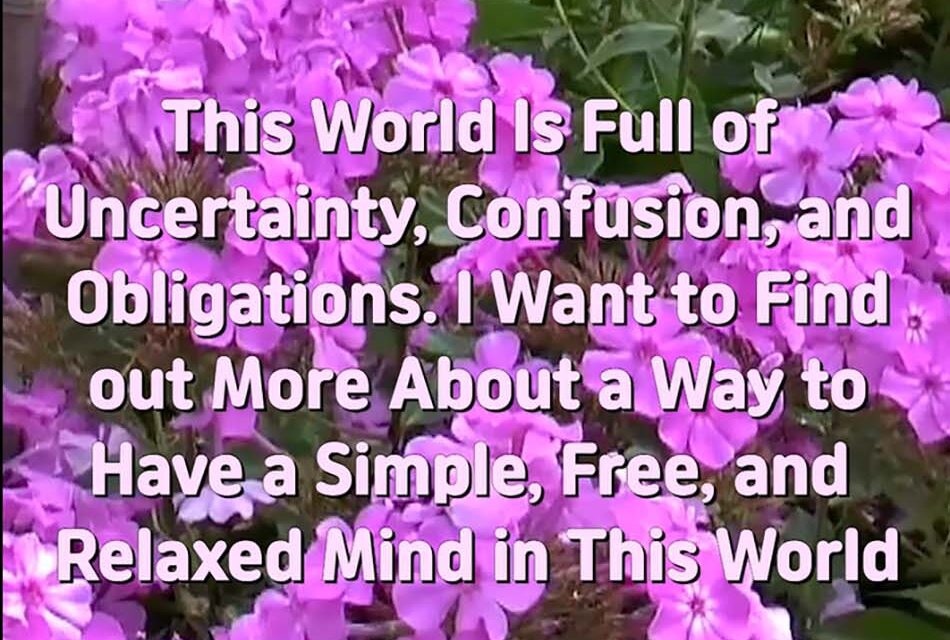 Master Woo Myung – Get Stress Relief – This World Is Full of Uncertainty, Confusion, and Obligations. I Want to Find out More About a Way to Have a Simple, Free, and Relaxed Mind in This World