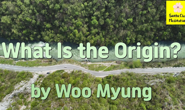 Master Woo Myung – Question & Answer – What Is the Origin?