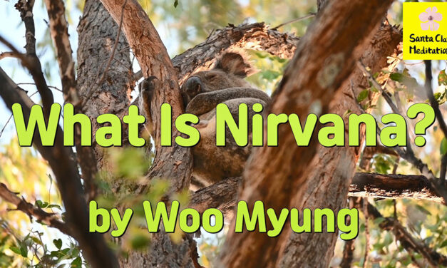 Master Woo Myung – Meaning of Enlightenment – What Is Nirvana?