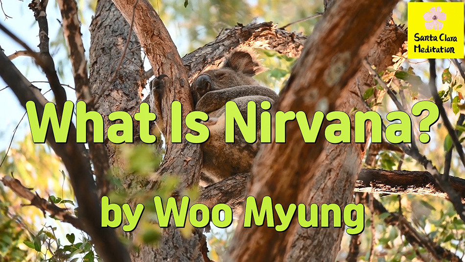 Master Woo Myung – Meaning of Enlightenment – What Is Nirvana?