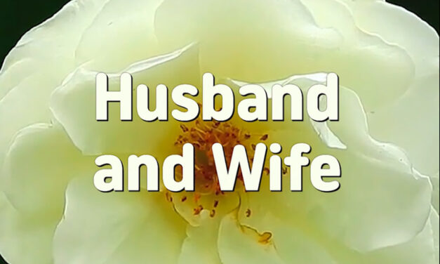 Master Woo Myung – Poetry – Husband and Wife