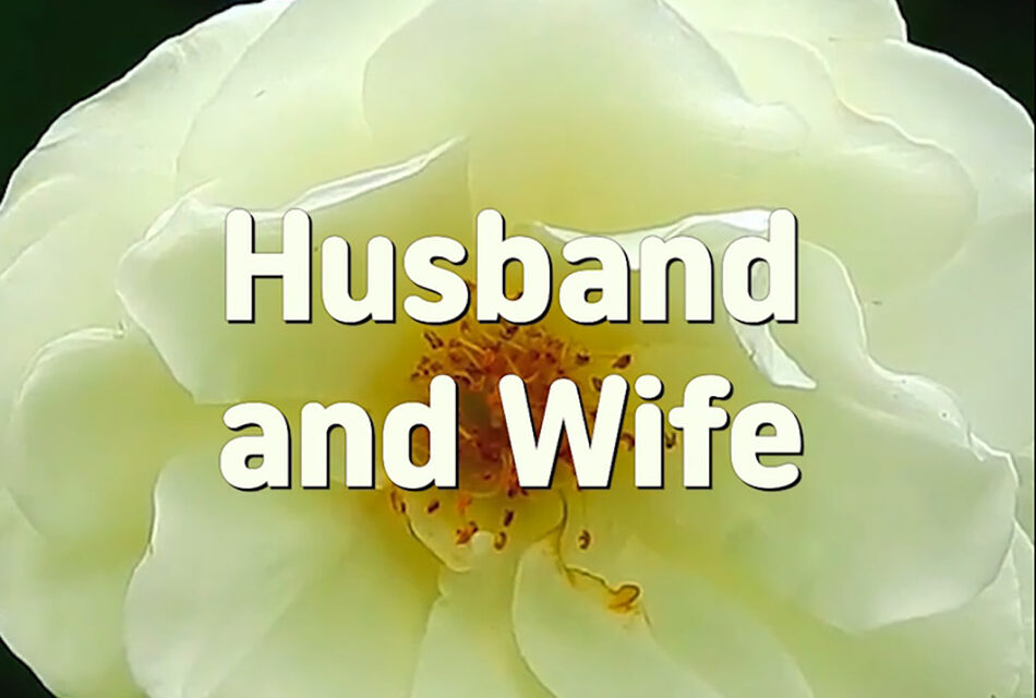 Master Woo Myung – Poetry – Husband and Wife